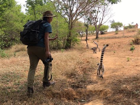 Madagascar: All You Must Know Before You Go (2024) .